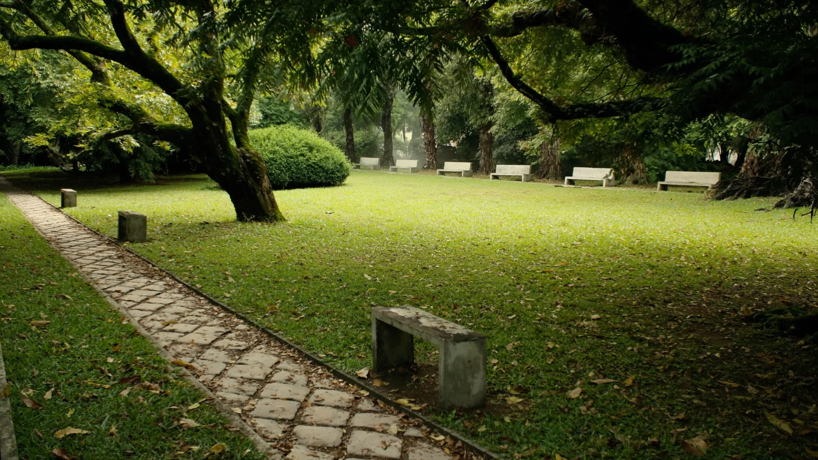 Praça arborizada com árvores antigas em bairro residencial