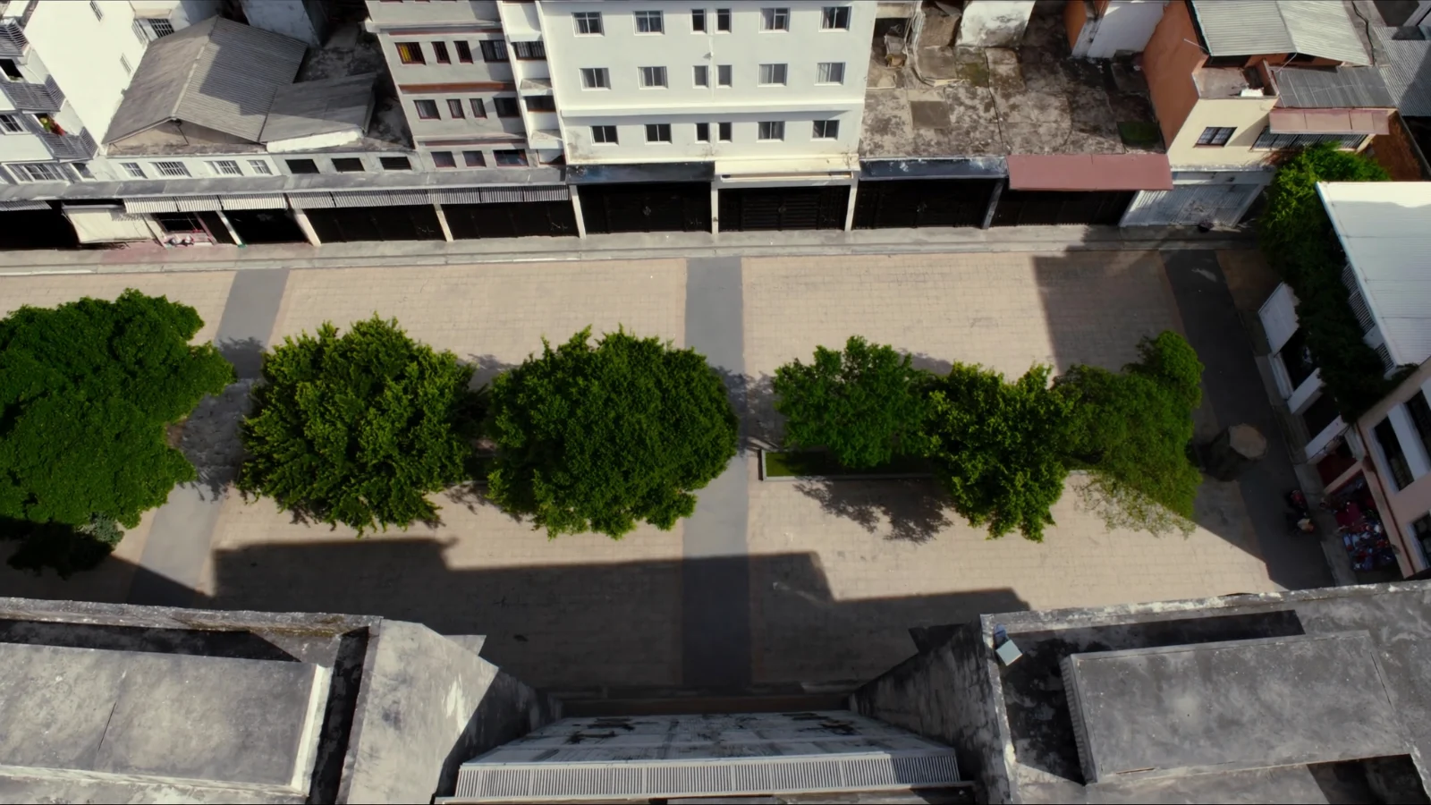 Rua residencial arborizada com prédios de médio porte