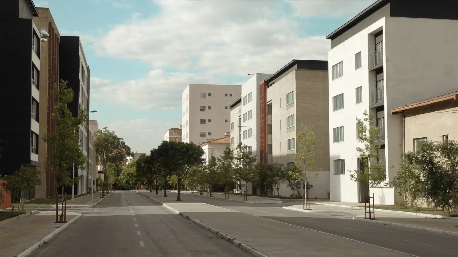 Avenida arborizada com edifícios residenciais no Tatuapé
